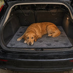 Hundfilt i Mikrofiber