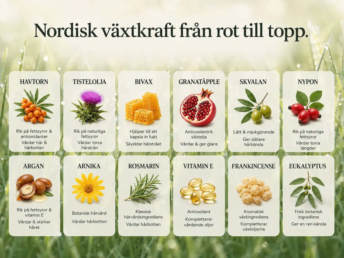 Naturligt Växtschampo