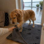 Hundfilt i Mikrofiber