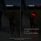 LED-halsband • Tryggare i mörkret