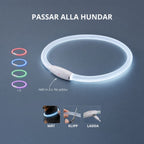 LED-halsband • Tryggare i mörkret