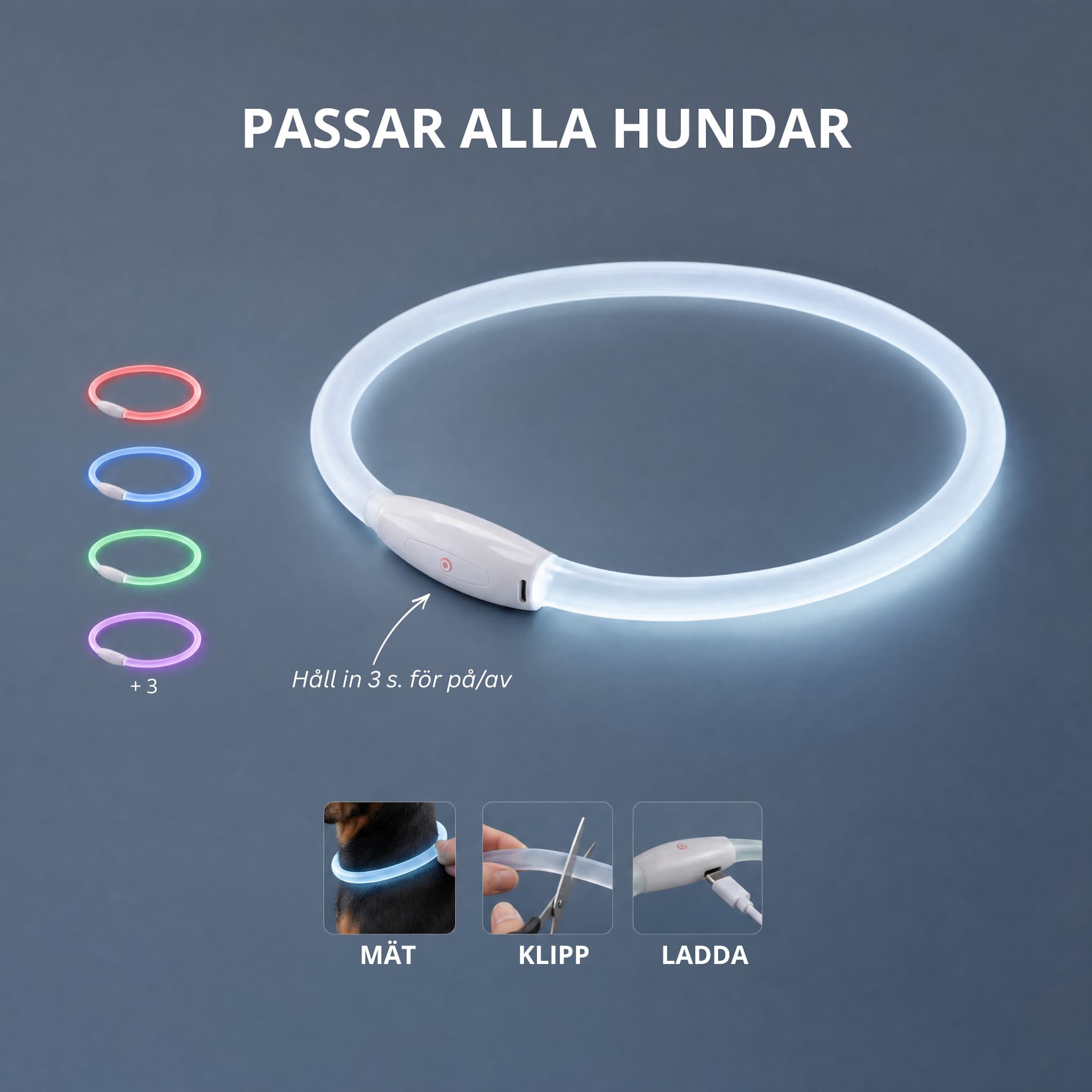 LED-halsband • Tryggare i mörkret
