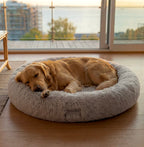 SnoozeBed™