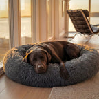 SnoozeBed™