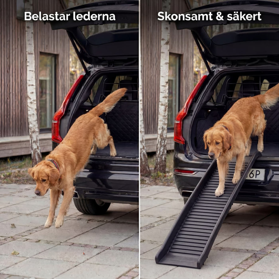 Hundramp för bil